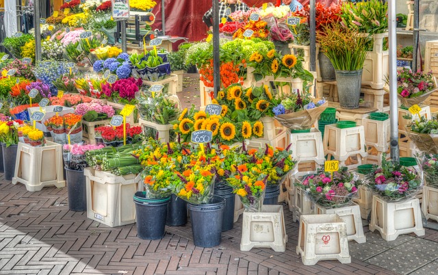 présentation du marché de Jambes