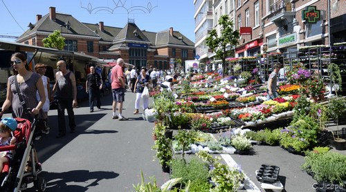 photo du marché de Waremme