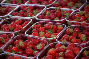 fraises du marché de aubel