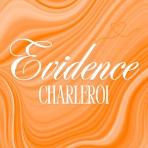 logo magasin en wallonie