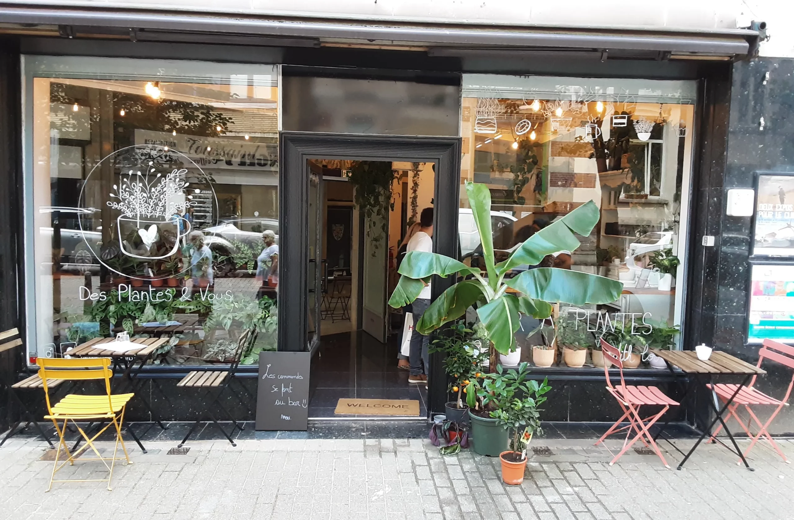 Des Plantes & Vous Charleroi à Charleroi