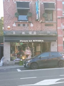 Fleurs de la Riviera Marcinelle à Marcinelle