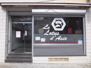 Le Lotus d'Asie Marcinelle à Marcinelle