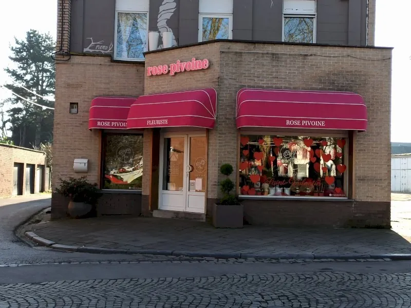 Rose Pivoine Sambre à Montignies-sur-Sambre