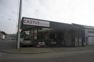 Toyota Castus Group Occasion Lodelinsart à Lodelinsart