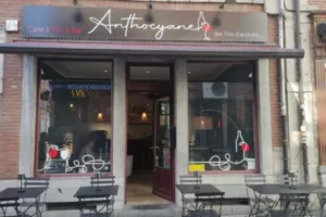 Photo de Anthocyane à Namur