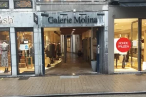 Photo de Galerie Molina à Namur