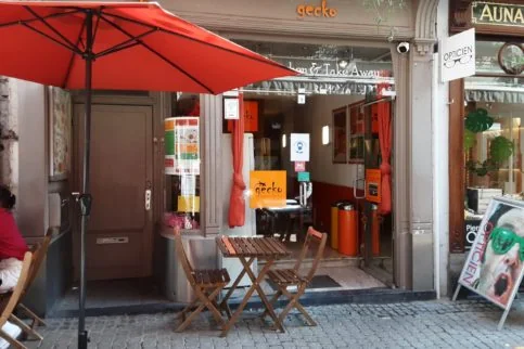 photo de gecko à namur