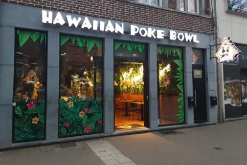 photo de hawaiian poke bowl à namur