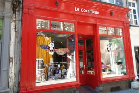 photo de la coccinelle à namur