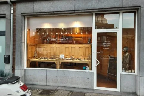 photo de mandragor à namur