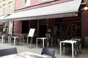 Photo de Patanthrope à Namur