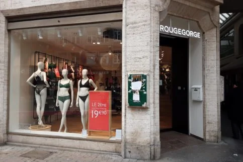 photo de rouge gorge à namur